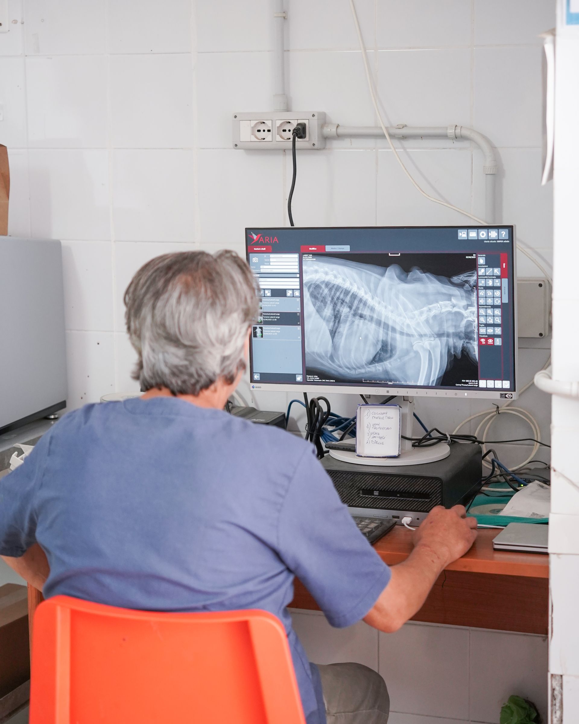 Un veterinario esamina una radiografia sul monitor di un computer. Sono seduti a una scrivania in una sala visite.