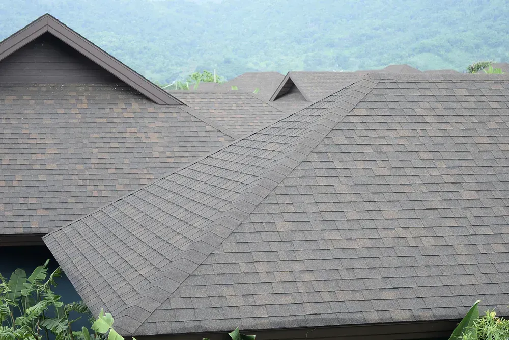 Close-up of gray architectural roof shingles on a multi-gabled house.