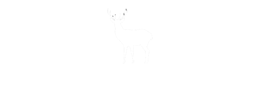 Newman Forest and Wildlife Management LLC