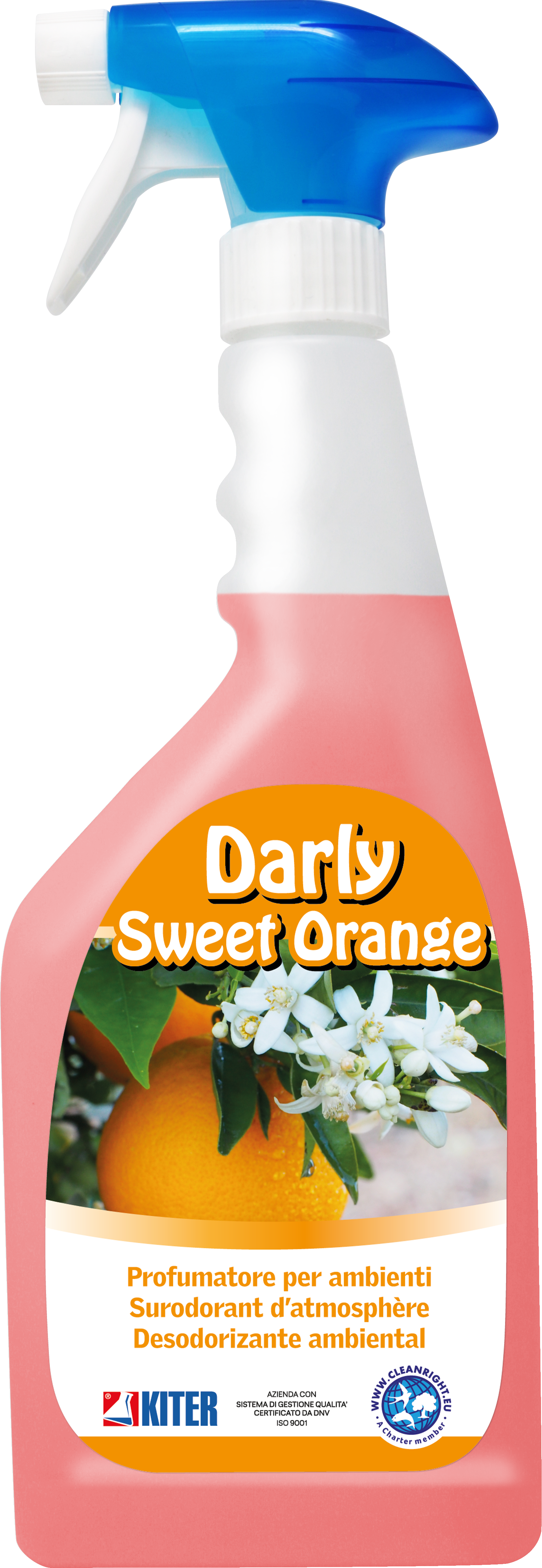 NUOVI PRODOTTI KITER 2025