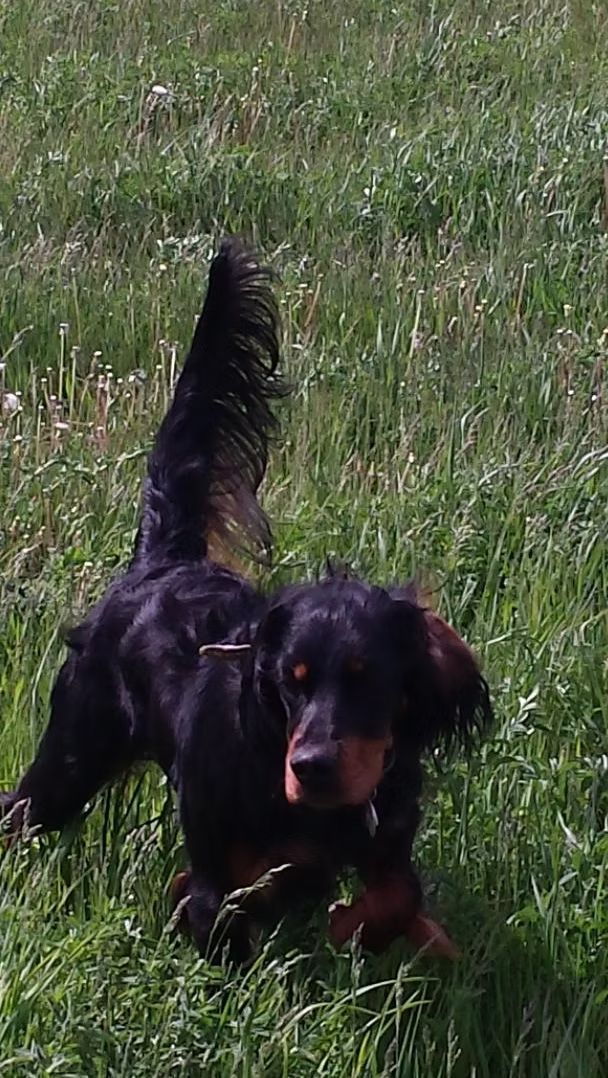 Man in colorful jacket and red beanie, hands on head, yellow background.