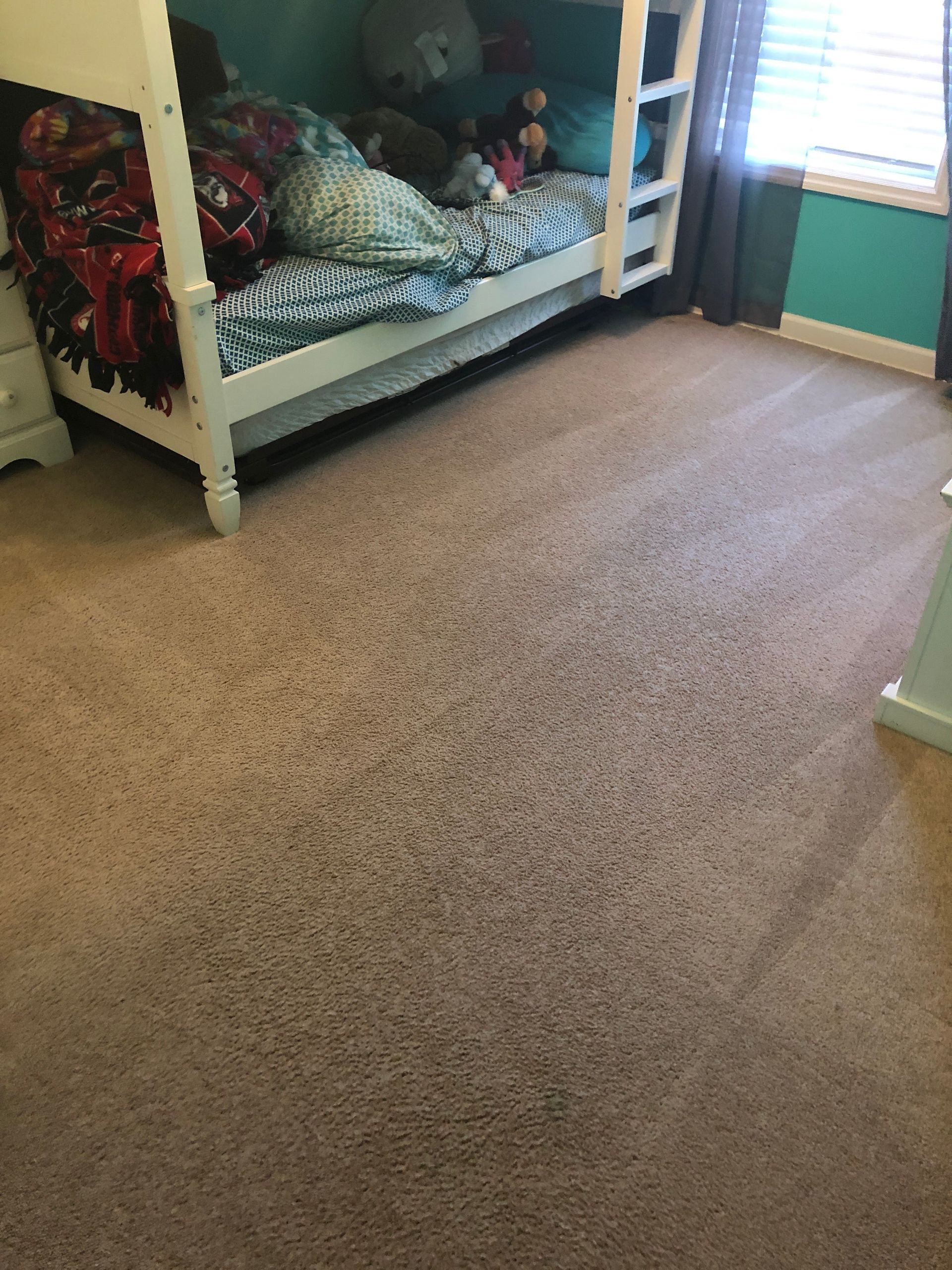 A bunk bed is sitting on top of a carpeted floor in a bedroom.