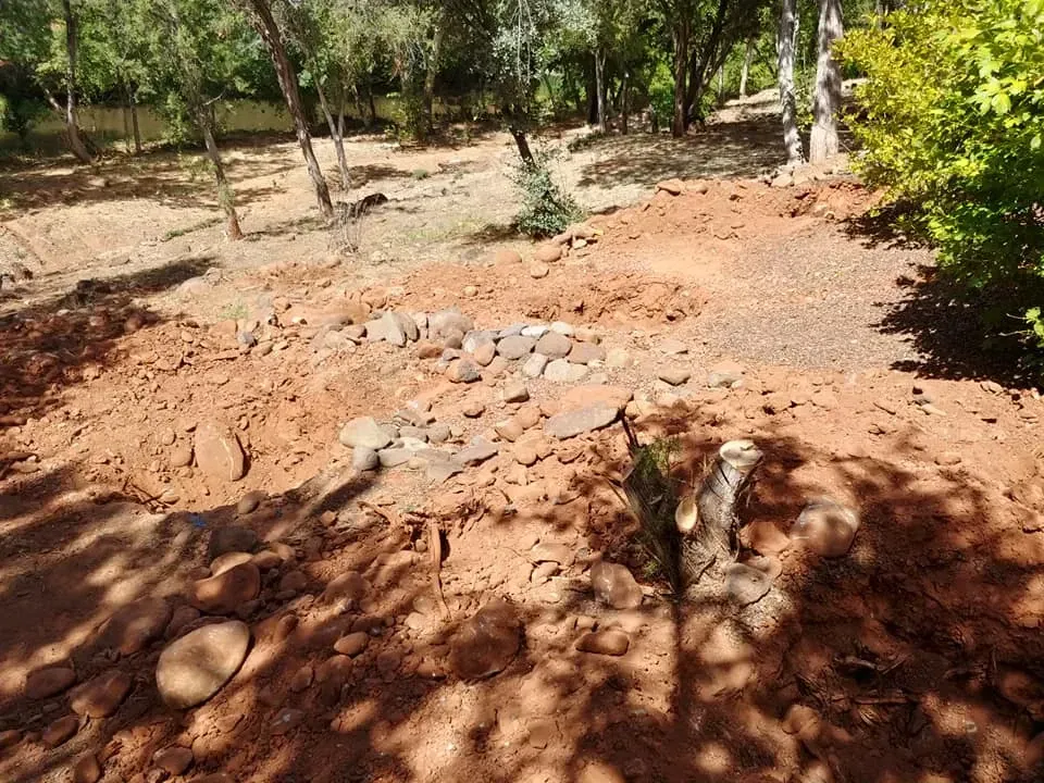 Dirt patch with small stones and tree stumps near trees and river.