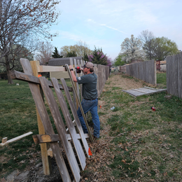 Man repairing a wooden fence in a grassy backyard. He's using a tool to work on the fence under a blue sky.