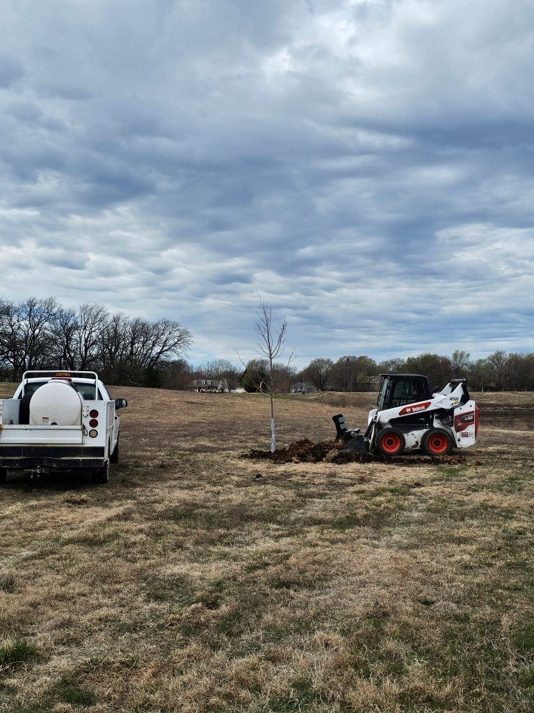 Bobcat and water truck planting a tree in a field under cloudy sky.
