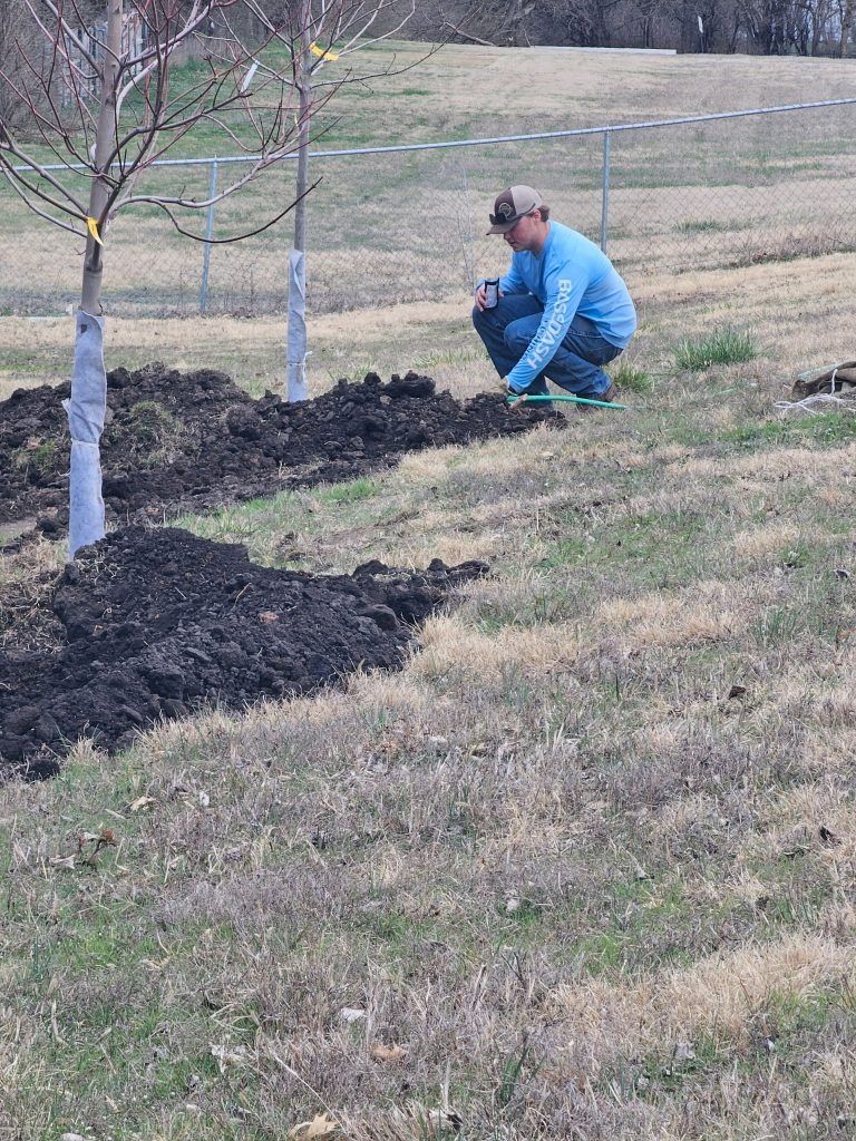 A man planting a tree in a grassy yard, surrounded by dark soil.