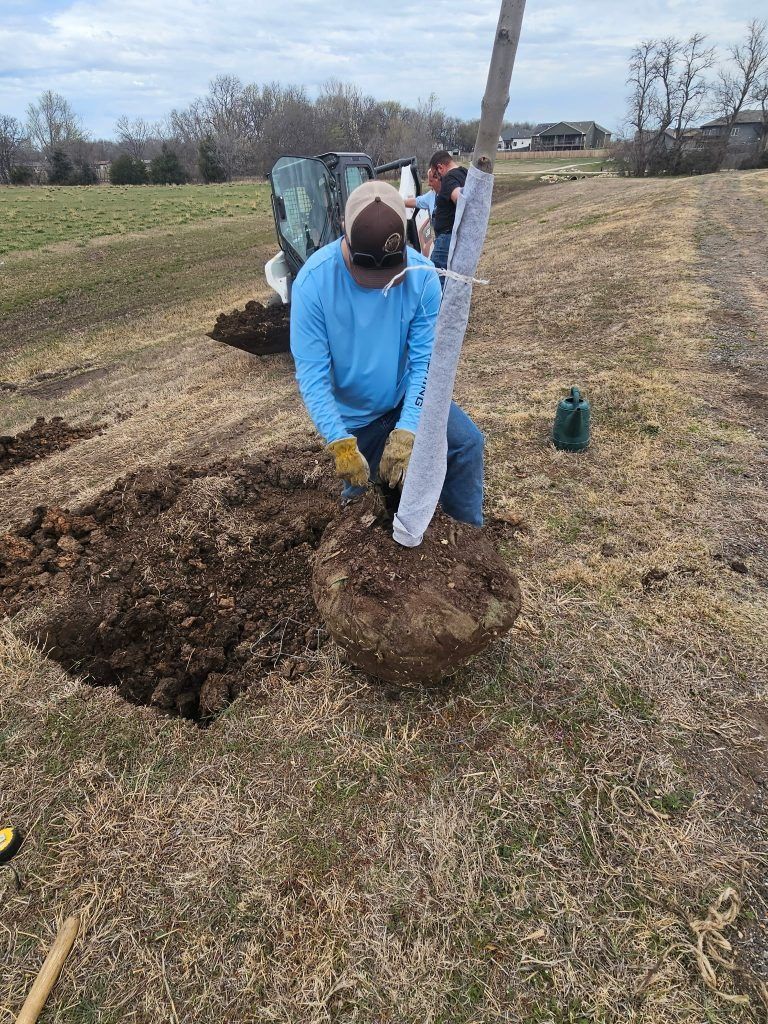 Man planting a tree outdoors, digging soil around a root ball, light blue shirt, brown hat.