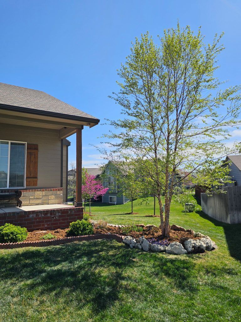 A house with a young tree in the yard, under a blue sky. The tree has light green leaves.