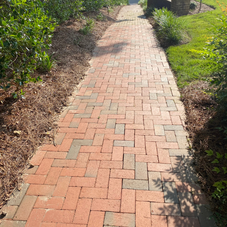Brick pathway lined with green plants and mulch in a sunny outdoor setting.