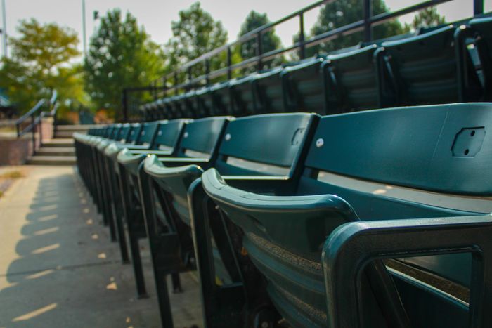 Green baseball seating at McCollum Park