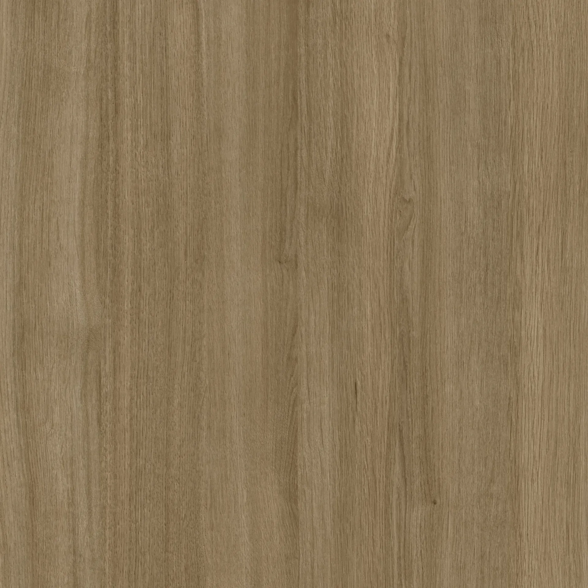 Fashionista Color Palette Option