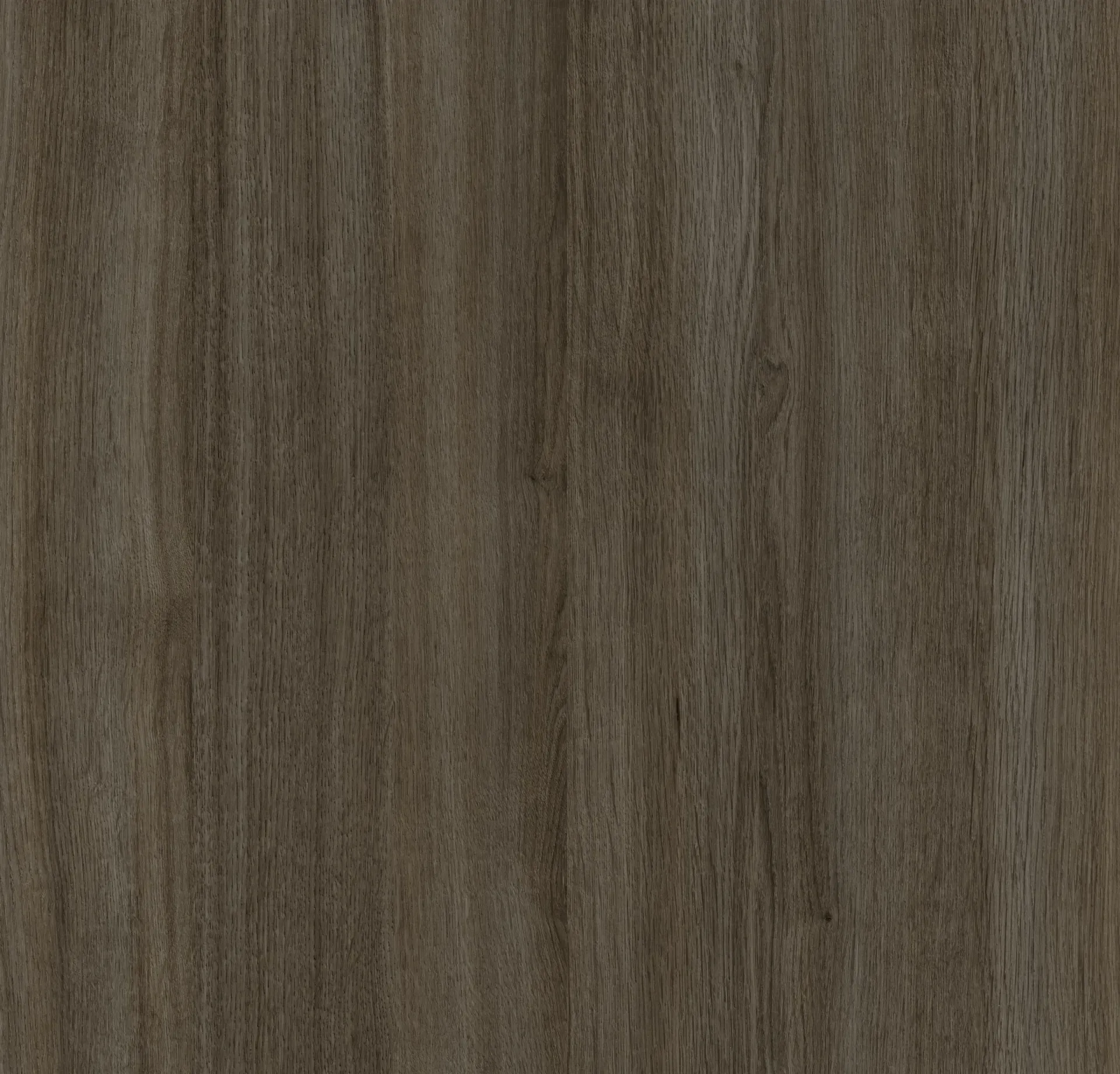 First Class Color Palette Option