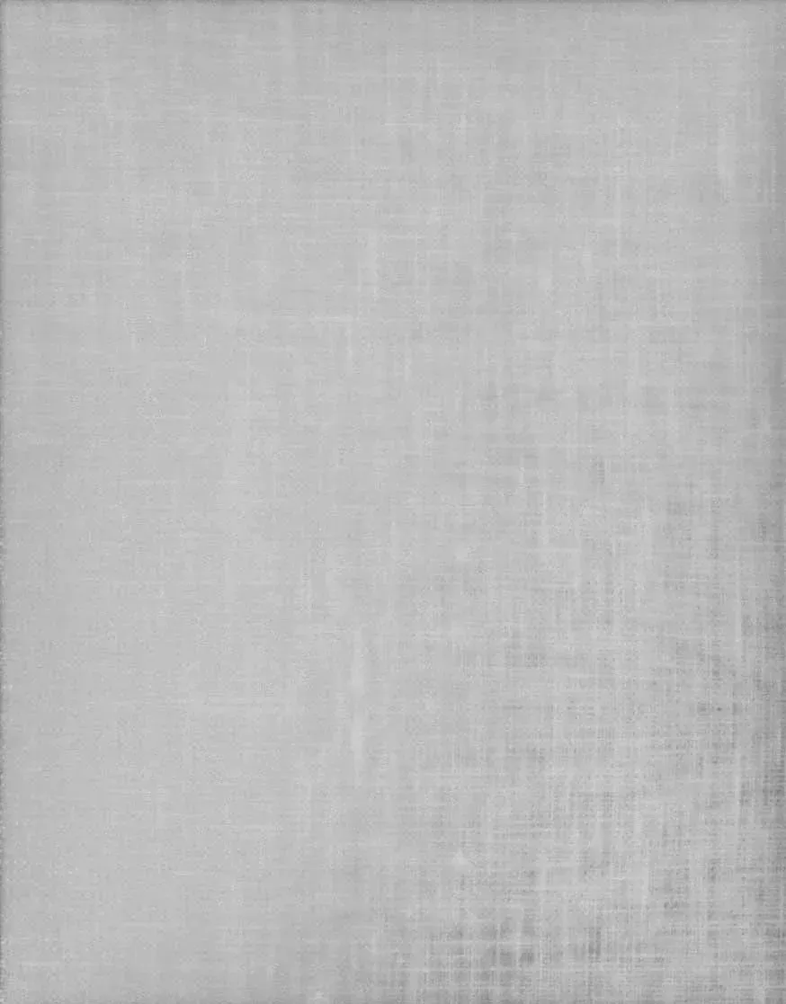 Organic Cotton Glass Insert Option