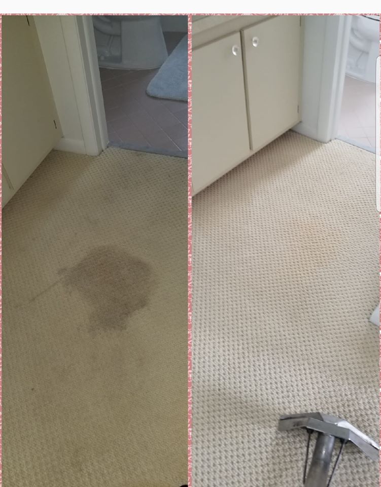 Before and After Cleaning the Carpet — Naples, FL — Superior Steam