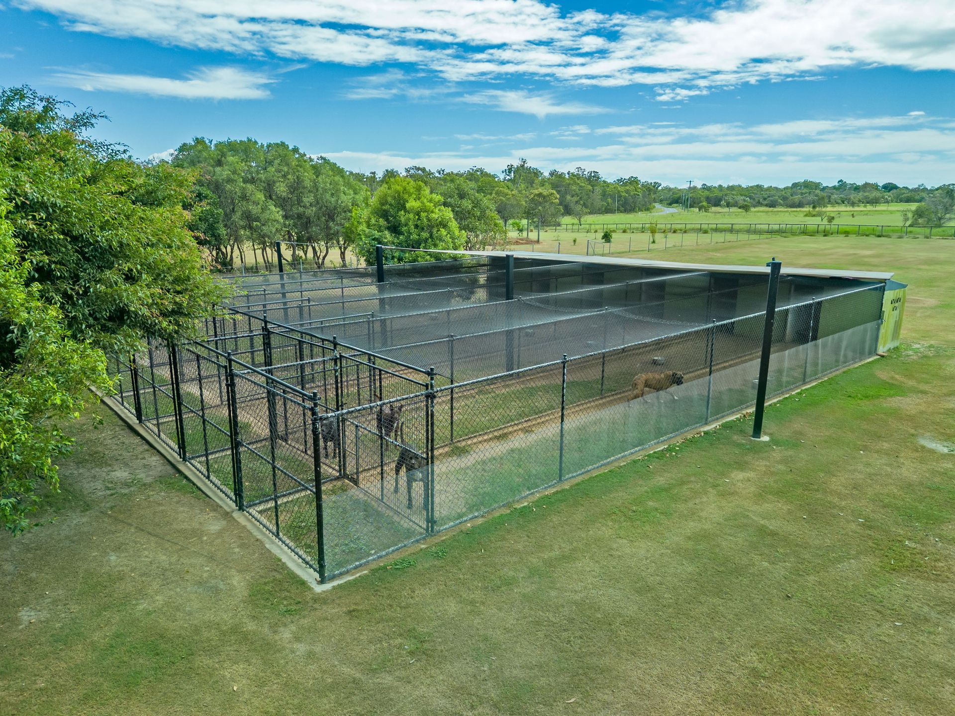 A large enclosed cricket practice net on a grassy field under a bright blue sky. — Four Way Kennels & Canine Wellness Centre in Kinkuna, QLD
