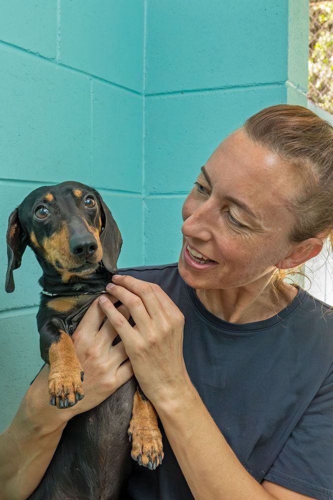 Woman Holding a Black and Tan Dachshund Dog — Four Way Kennels & Canine Wellness Centre in Kinkuna, QLD