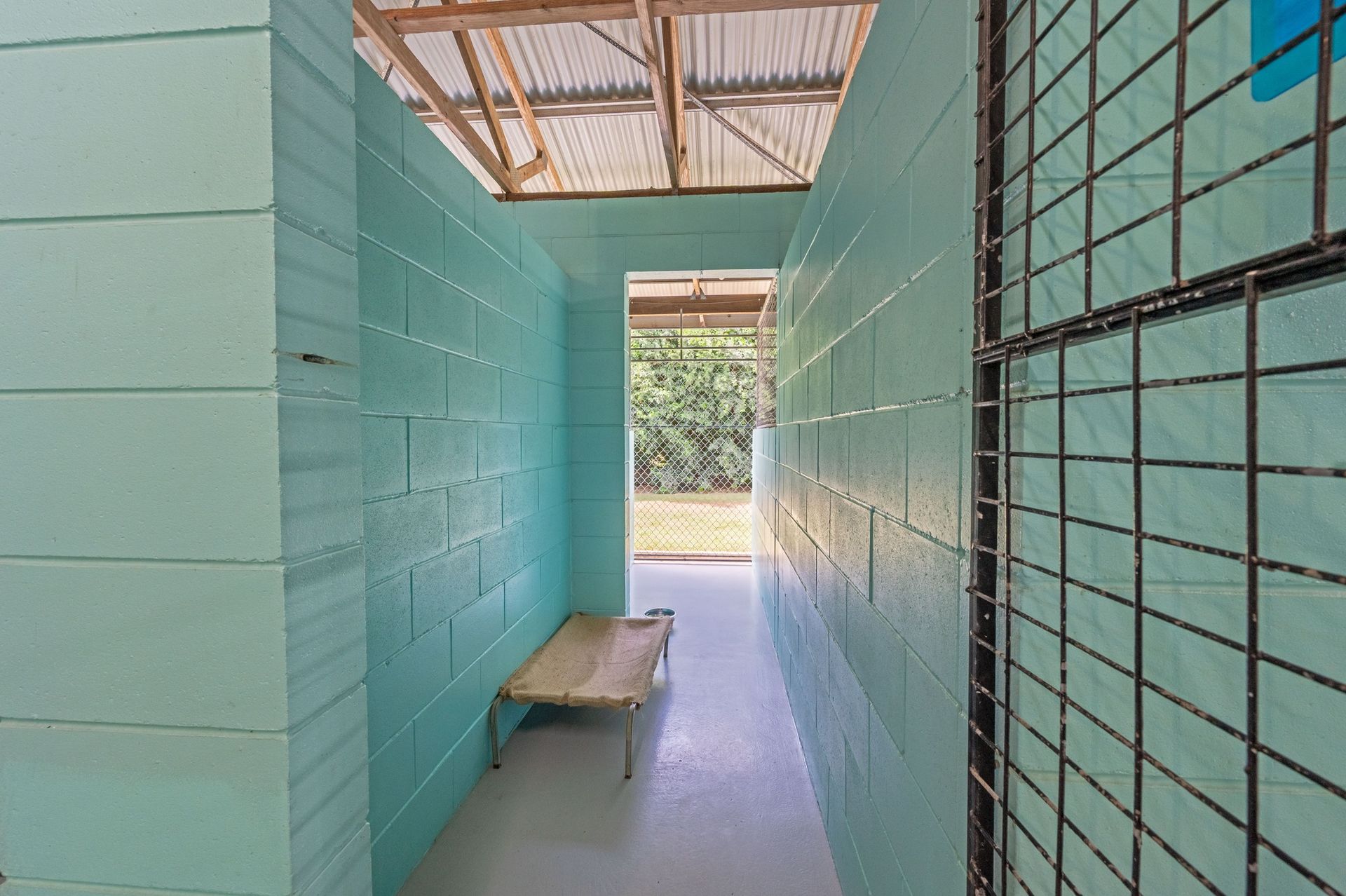 Yellow Labrador Retriever in a Park, Smiling With Tongue Out — Four Way Kennels & Canine Wellness Centre in Hervey Bay, QLD