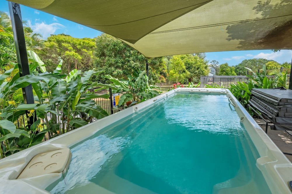 Rectangular Swimming Pool With Turquoise Water — Four Way Kennels & Canine Wellness Centre in Maryborough, QLD