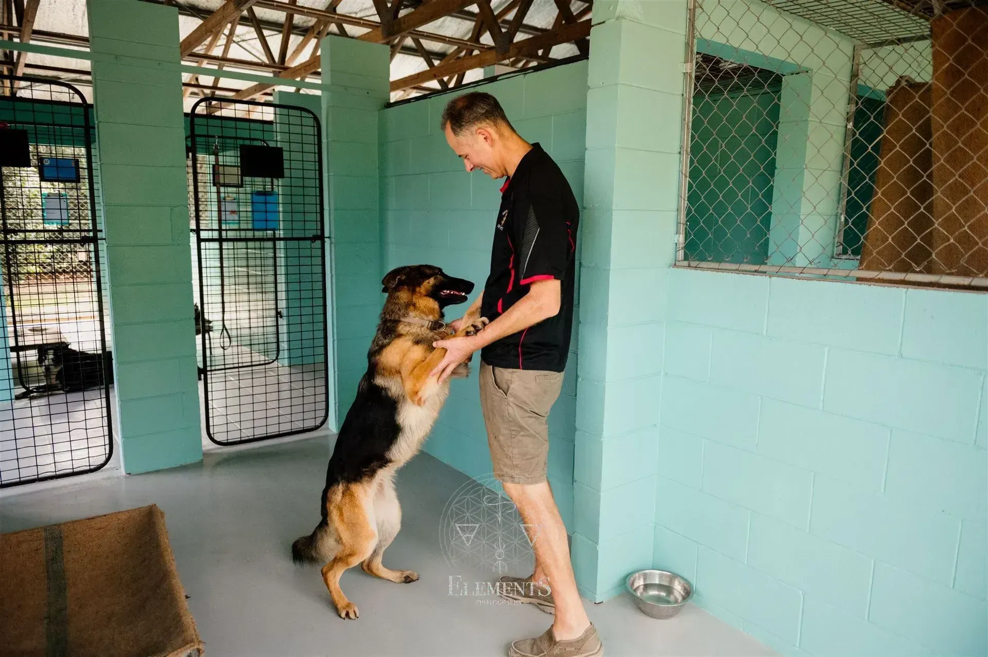 Yorkshire Terrier Wrapped in White Towel, Smiling With Bubbles — Four Way Kennels & Canine Wellness Centre in Kinkuna, QLD