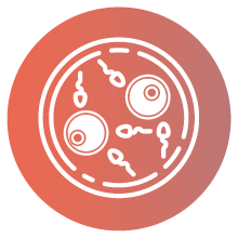 IVF insurance coverage