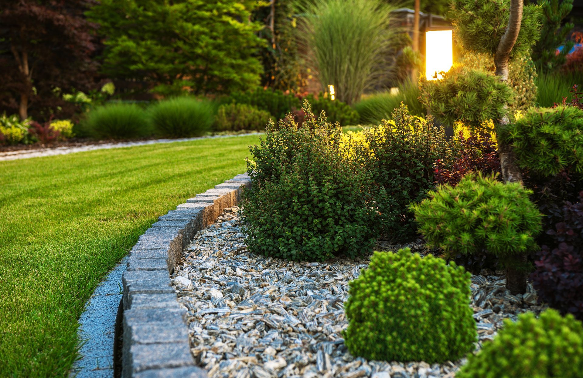 A lush green garden with lots of plants and rocks.