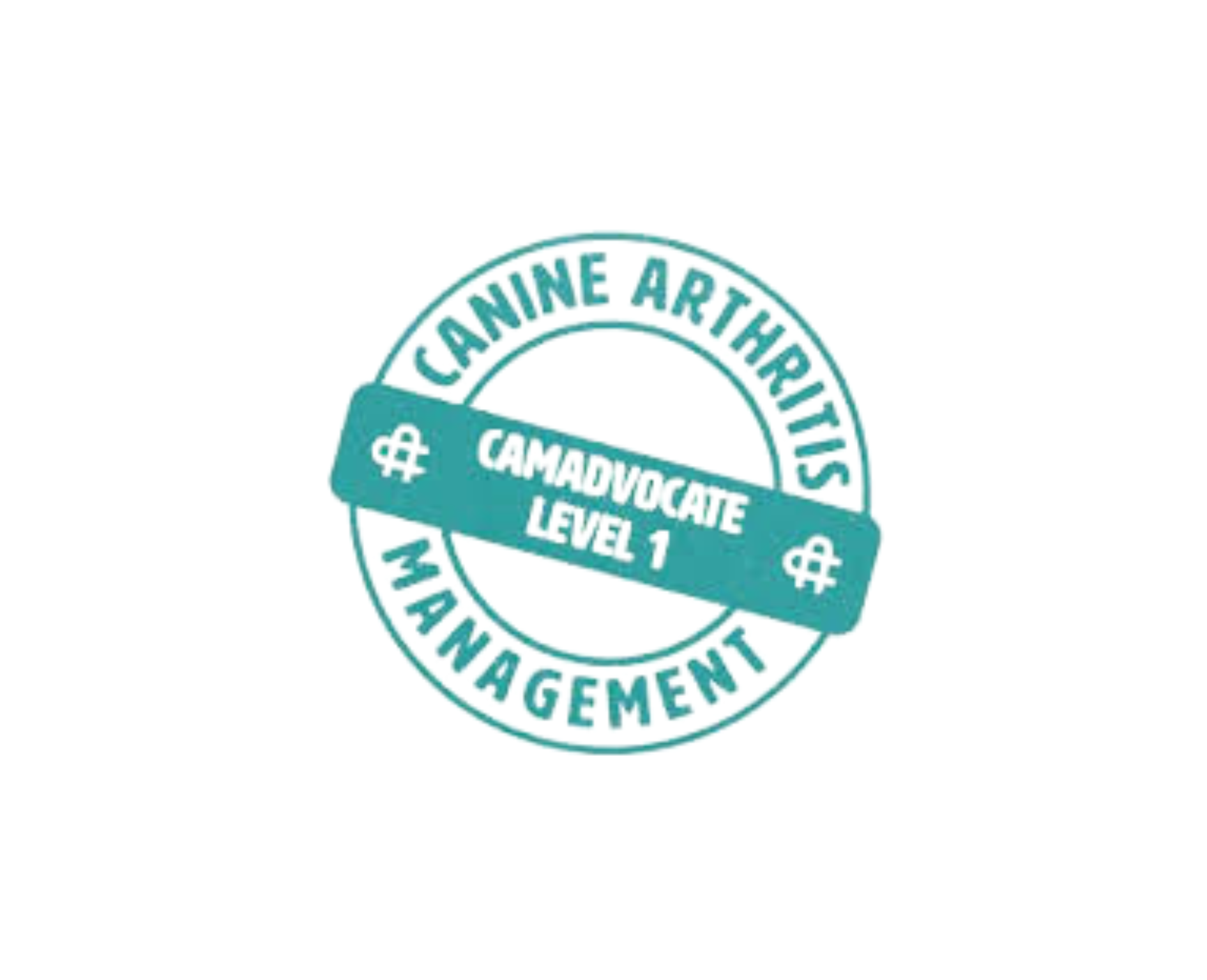 Canine Hip Dysplasia canine-hip-dysplasia