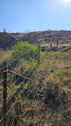 A barbed wire fence surrounds a path in the middle of a field.