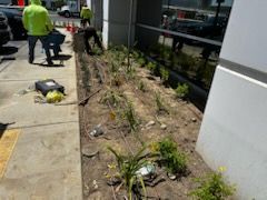 A group of people are working on a sidewalk next to a building.