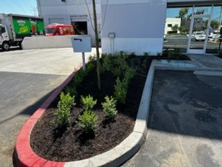 A truck is parked in a parking lot next to a lush green garden.