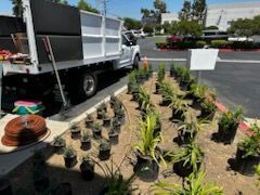 A truck is parked in a parking lot next to a row of potted plants.