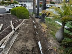 A bunch of pipes are laying in the dirt in a yard.