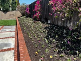 A garden with flowers and a fence in the background.