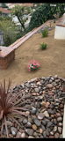 A garden with a lot of rocks and plants in it.