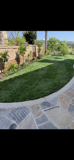 A lush green lawn with a stone walkway leading to it.