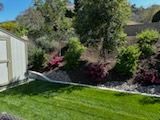 A white shed is sitting in the middle of a lush green yard.