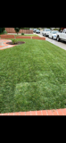 A lush green lawn with cars parked in the background.