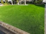 A lush green lawn is surrounded by trees and a curb.