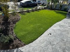 A lush green lawn with a concrete walkway and a car parked in the background.