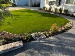 A lush green lawn with a stone walkway in front of a house.