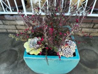 A blue planter filled with flowers and succulents on a porch.