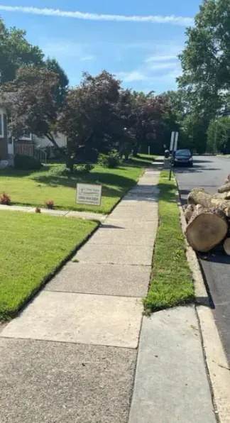A pile of logs is sitting on the side of the road
