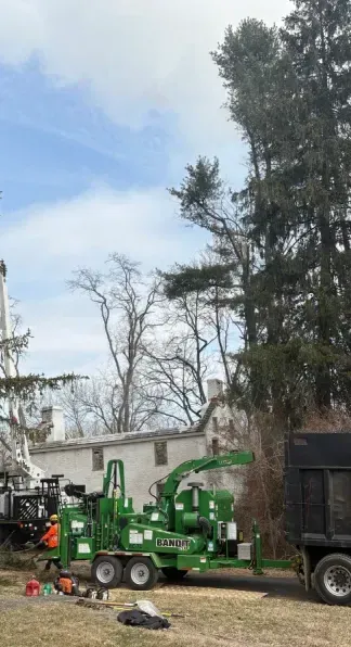 A tree cutting truck is parked in front of a large tree.