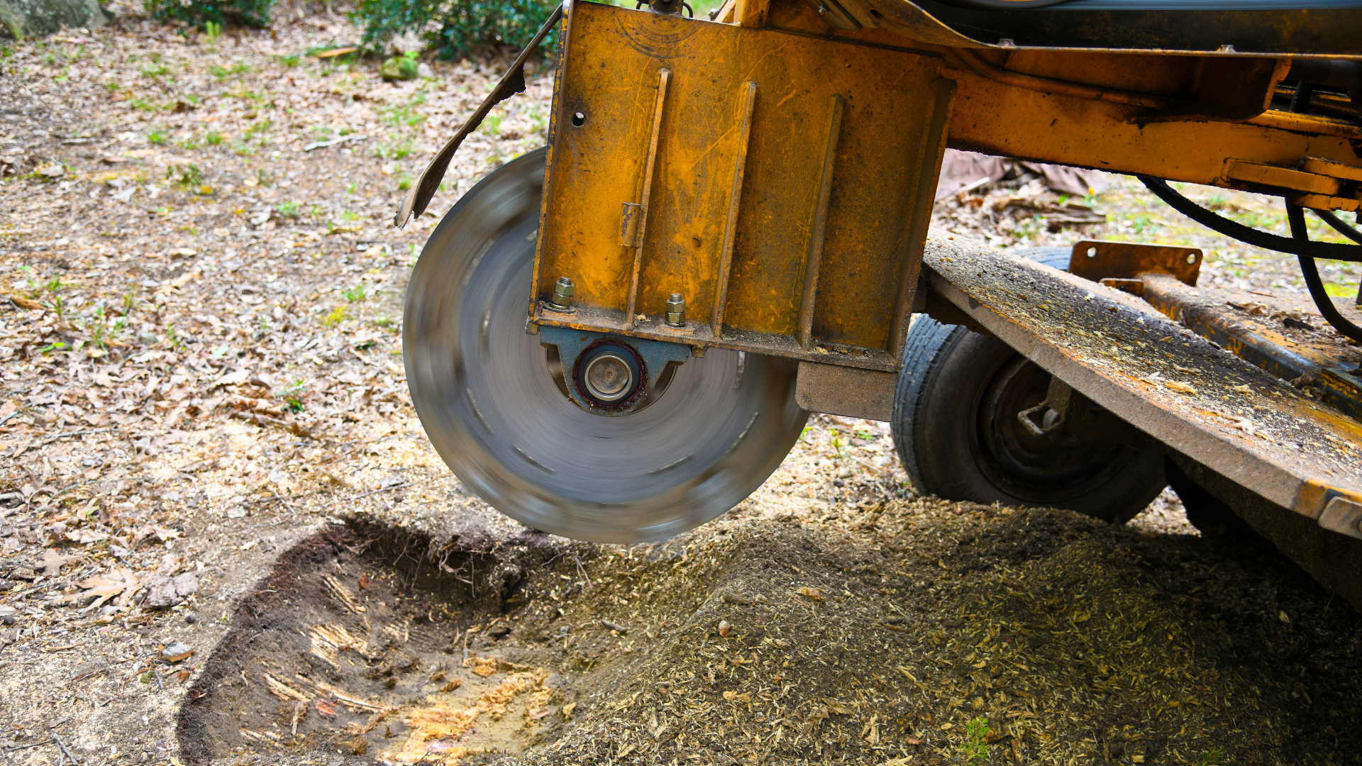 5 Benefits of Stump Grinding | Tree State PM