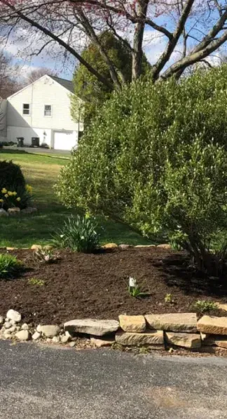 A lush green yard with a stone wall and a house in the background.