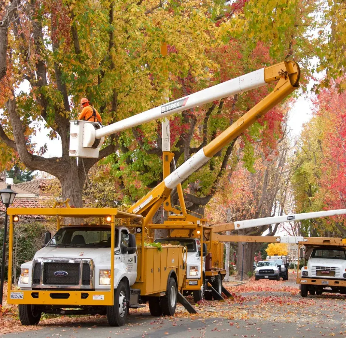 A truck with a crane on top of it is cutting a tree.