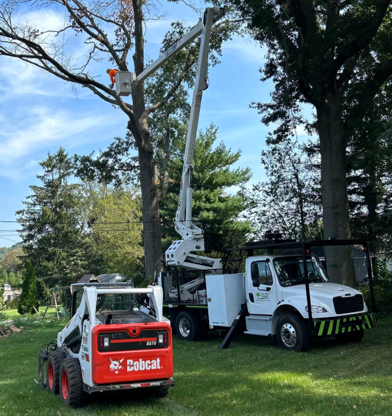 A bobcat truck is parked next to a smaller bobcat truck