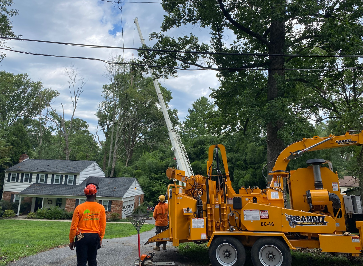 A man is standing next to a tree chipper in front of a house.