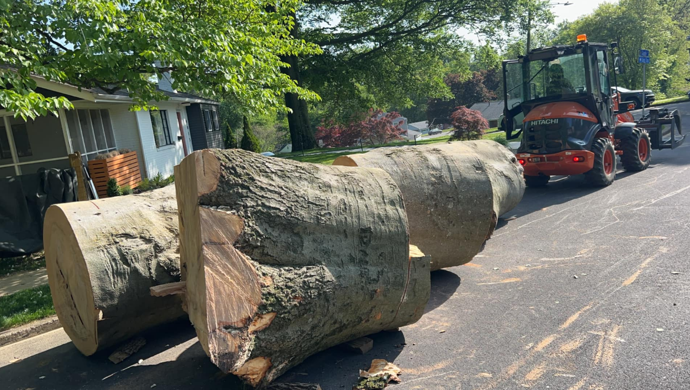 A large log is sitting on the side of the road next to a tractor.