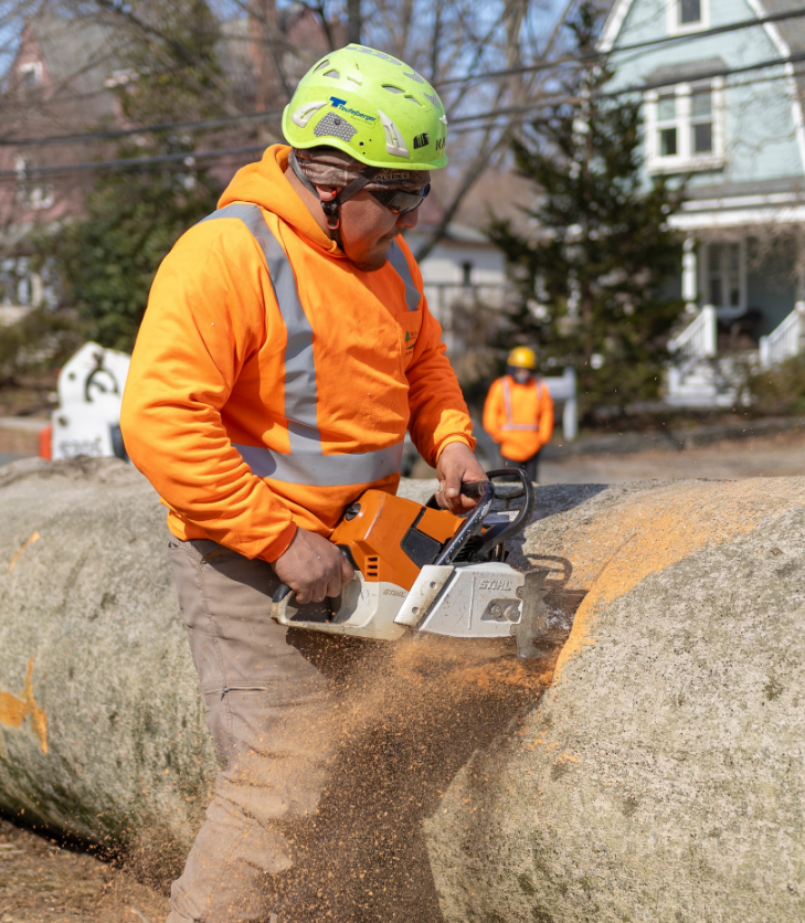 A man is using a chainsaw to cut a large log