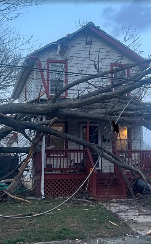 A house with a tree fallen on top of it.